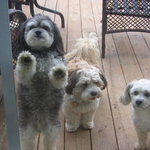 Meet your Posher, Hilda